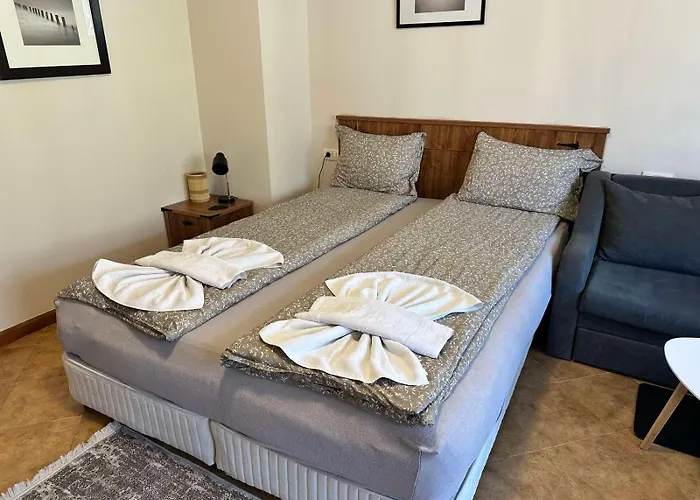 公寓 St Ivan Rilski & Pool Getaway 班斯科